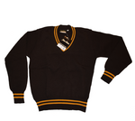 Brown & Gold Jersey