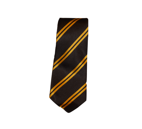 Brown & Gold Tie