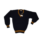 Navy Blue & Gold Jersey