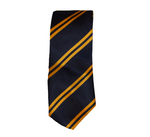 Navy & Gold Tie