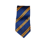 Royal Blue & Gold Tie