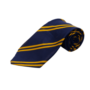 Striped School Tie – Navy & Gold