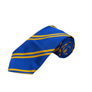 Striped School Tie – Royal Blue & Gold