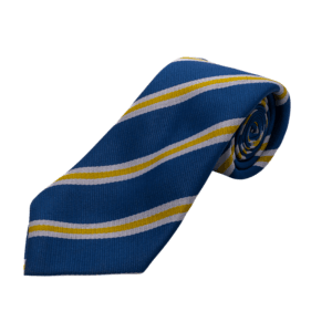 Striped School Tie – Royal Blue, White & Gold