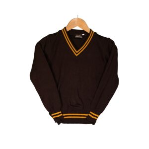 School Jerseys – Brown & Gold