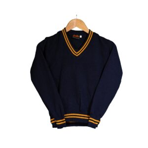 School Jerseys – Navy & Gold
